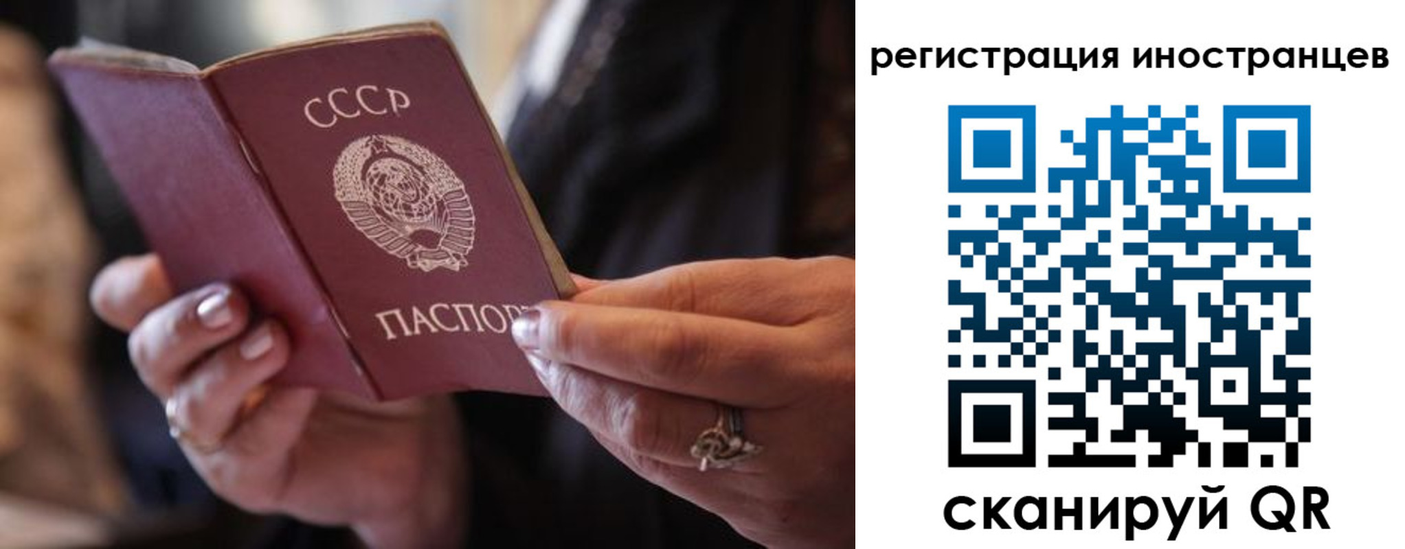 где прописаться в Красноармейске